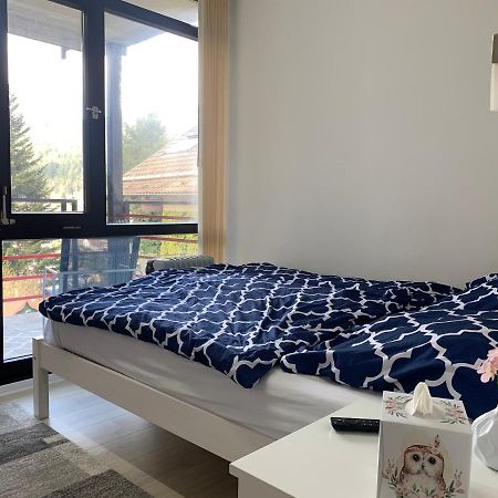 Kleines Einzimmer-Apartment 23 Бад Вилдбад Екстериор снимка