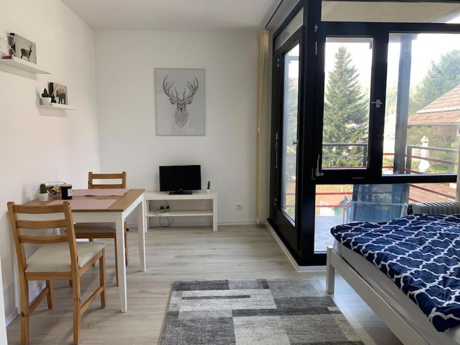 Kleines Einzimmer-Apartment 23 Бад Вилдбад Екстериор снимка