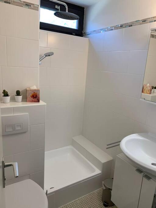 Kleines Einzimmer-Apartment 23 Бад Вилдбад Екстериор снимка